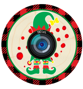 Elf Camera Ornament